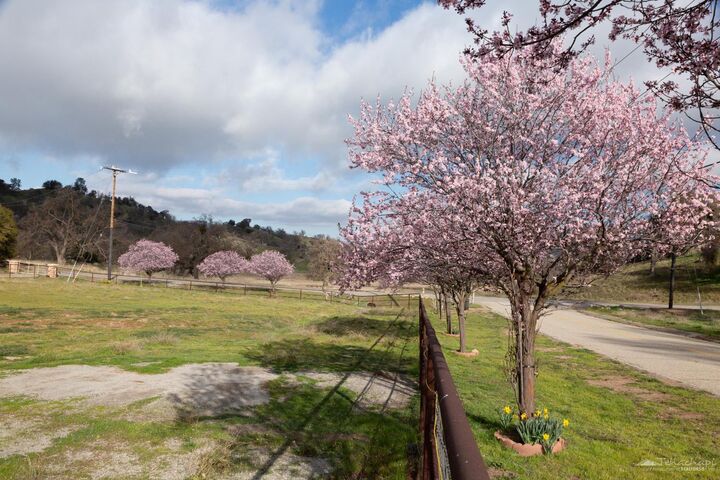 Property Photo: 29201 Angus Court CA 93561