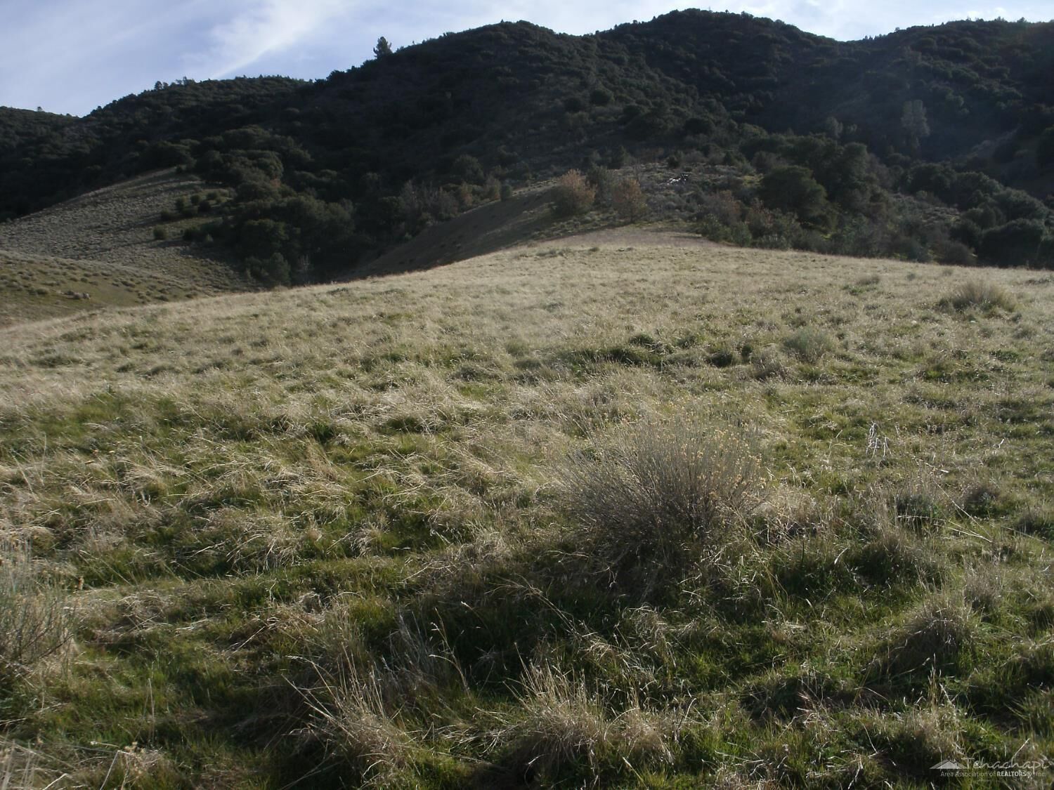 Property Photo:  0 Siskiyou  Lot 183  CA 93561 