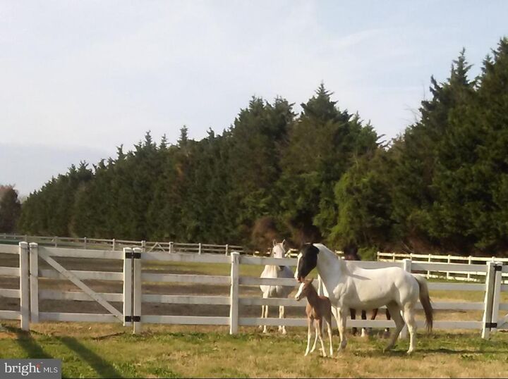 Property Photo:  14135 Cooley Road  MD 21853 