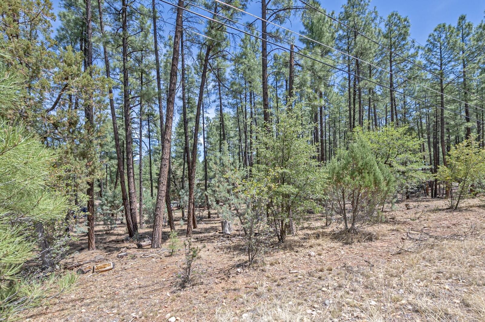 Property Photo:  Lot 138 Marcy Way  AZ 85544 