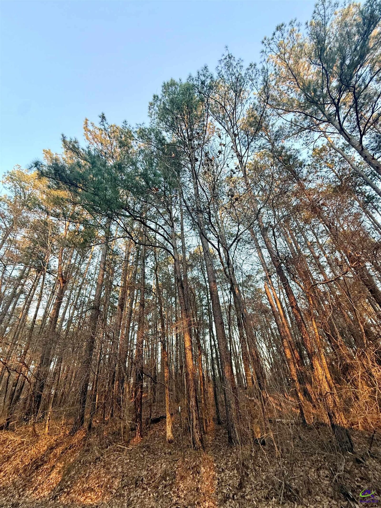 Property Photo:  121 B Sunset Drive  GA 31024 