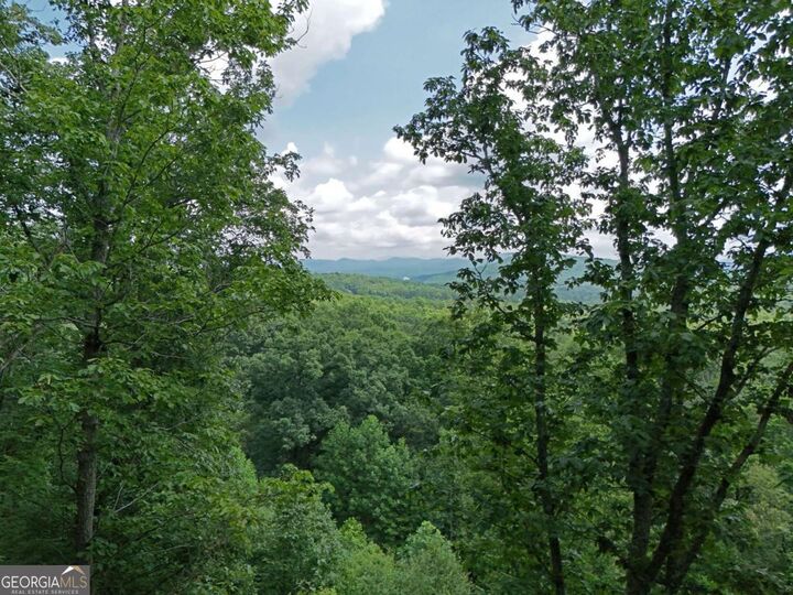 Property Photo: Lot 71 Chicory Drive W GA 30512