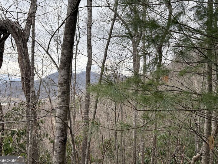 Property Photo:  0 Colchester Lane  GA 30525 