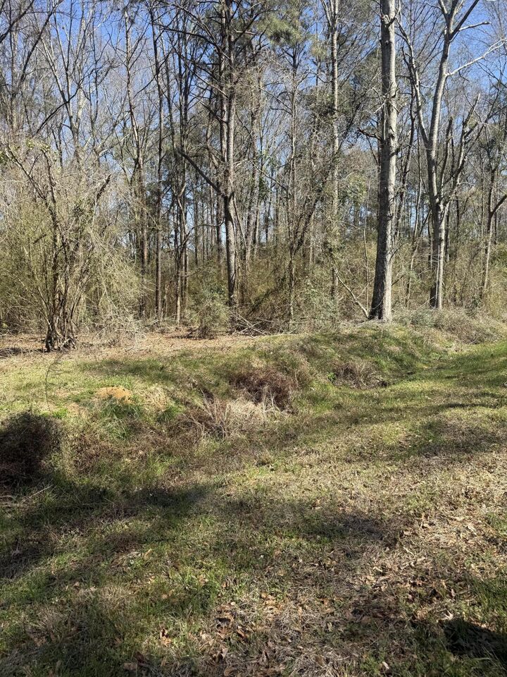 Property Photo:  4.9 Acr Morgantown Rd.  MS 39483 