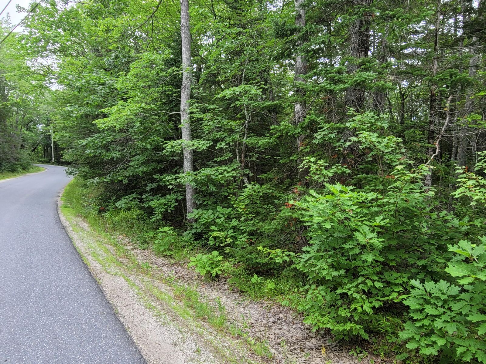 Property Photo:  20 Matty Way  ME 04634 