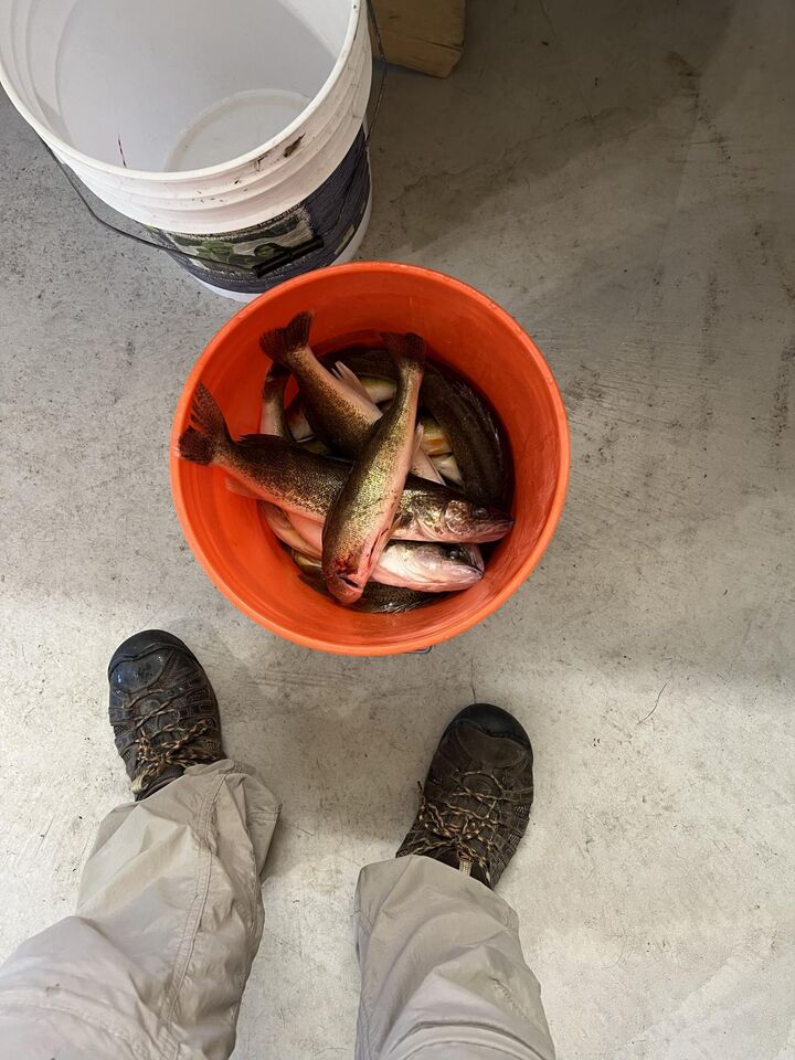 Property Photo:  11095 Ottertail Point Drive NW  MN 56633 