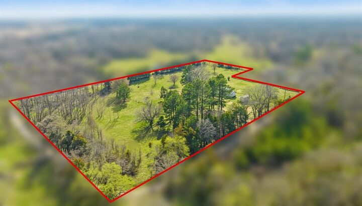 Property Photo:  247 County Road 45480  TX 75462 