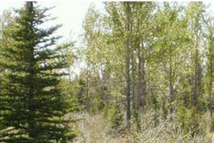 Property Photo:  Range Road 55  AB T0G 1X0 