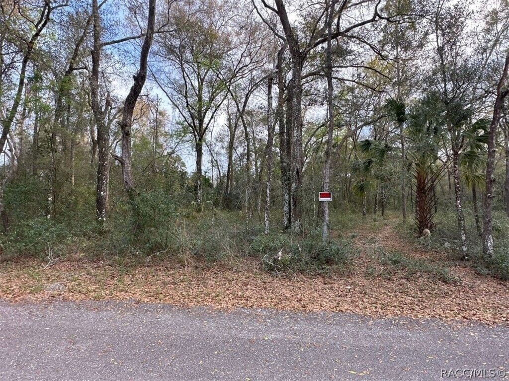 Property Photo:  3497 E Lou Lane  FL 34453 