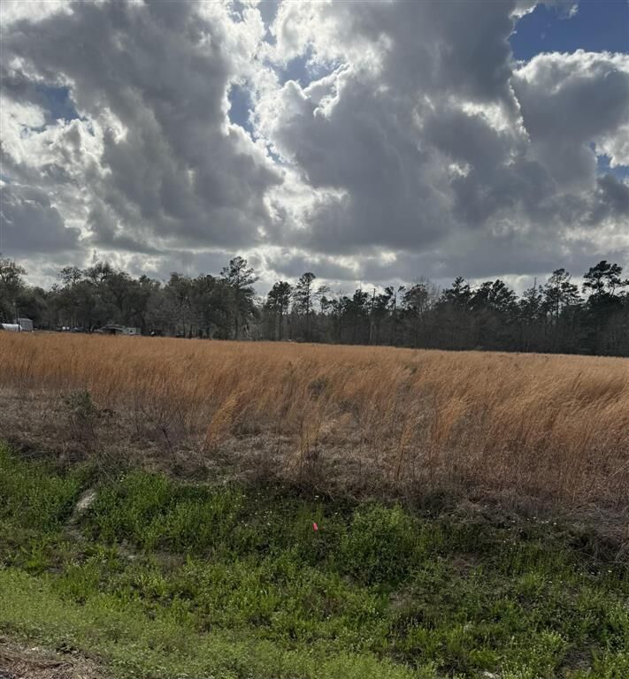 Property Photo: 0 Choupique Road LA 70665