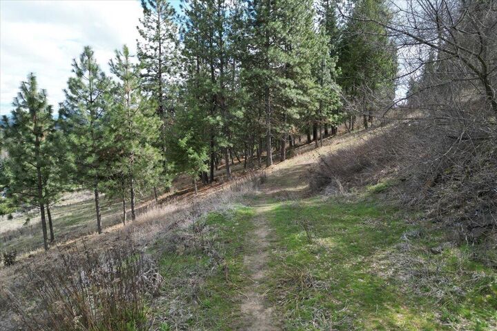 Property Photo: 1411 W Toni Rae Dr WA 99218