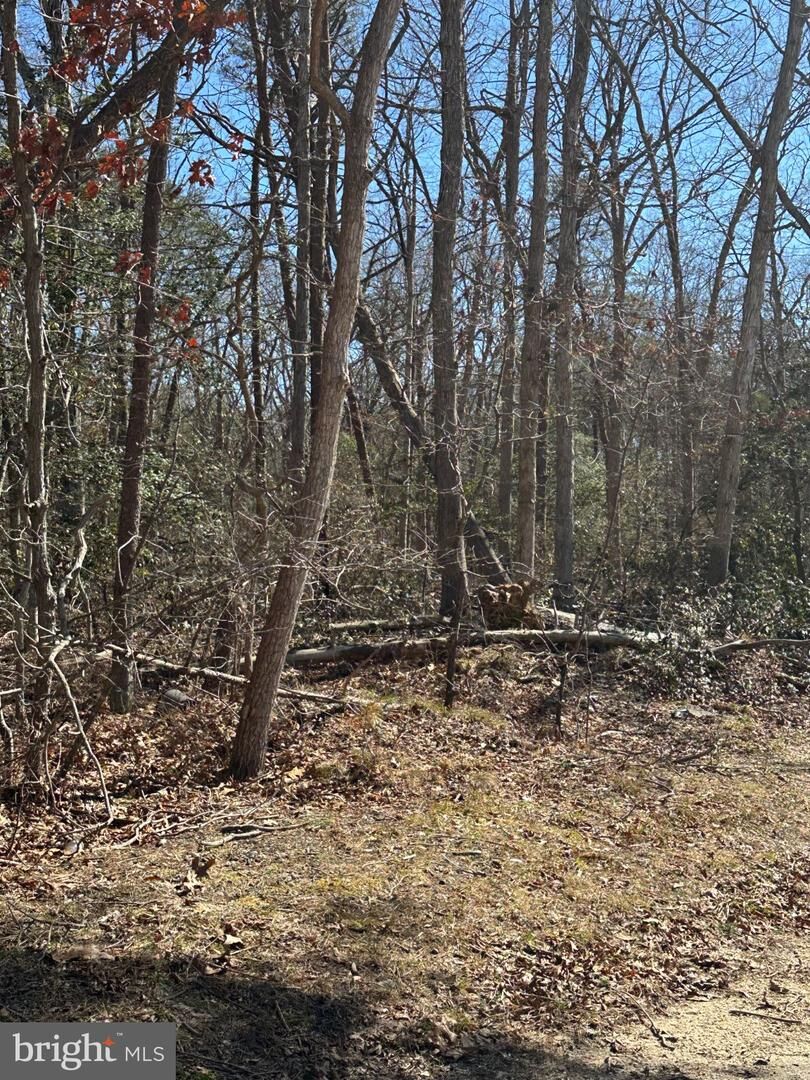 Property Photo:  0 Seaview Avenue  NJ 08332 