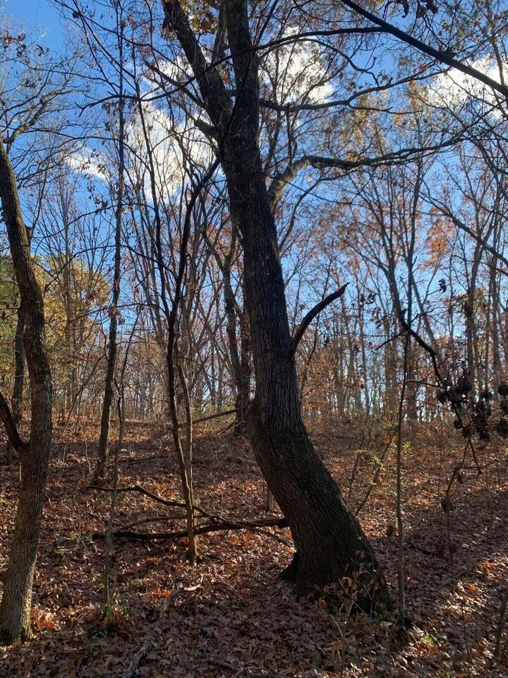 Property Photo:  9.04 Acres N Ridge Rd  MO 65256 