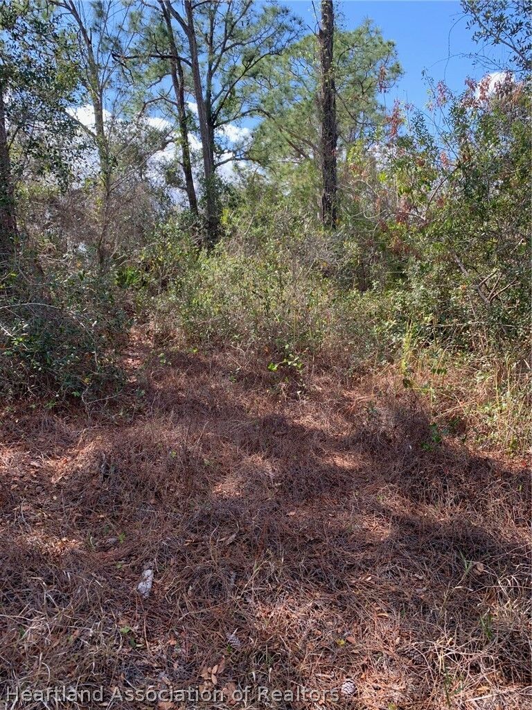 Property Photo:  223 E Canal Way NE  FL 33852 