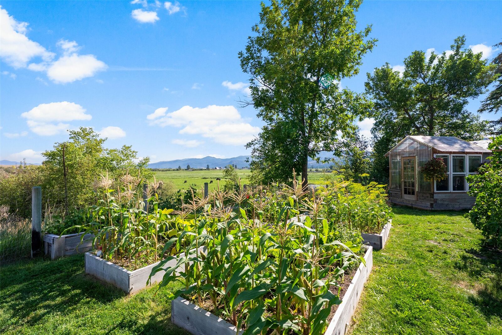 Property Photo:  15655 Mullan Road  MT 59834 