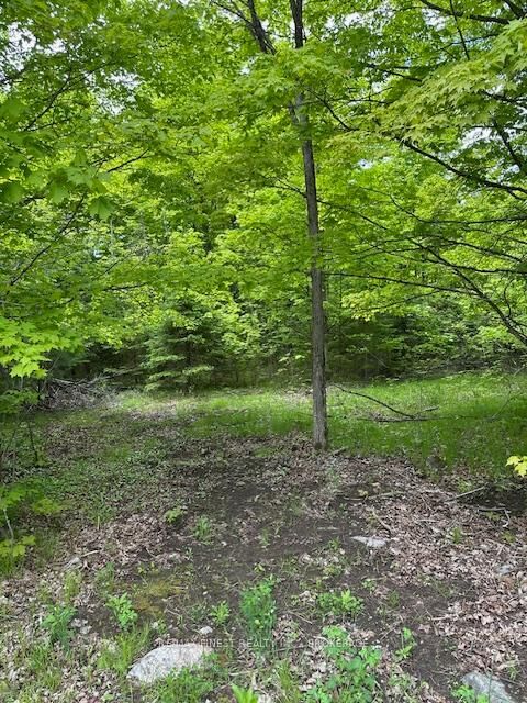 Property Photo:  17146 Road 509 N/A  ON K0H 2P0 