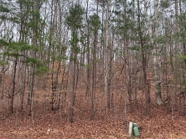 Property Photo:  0 Battle Way  GA 30721 