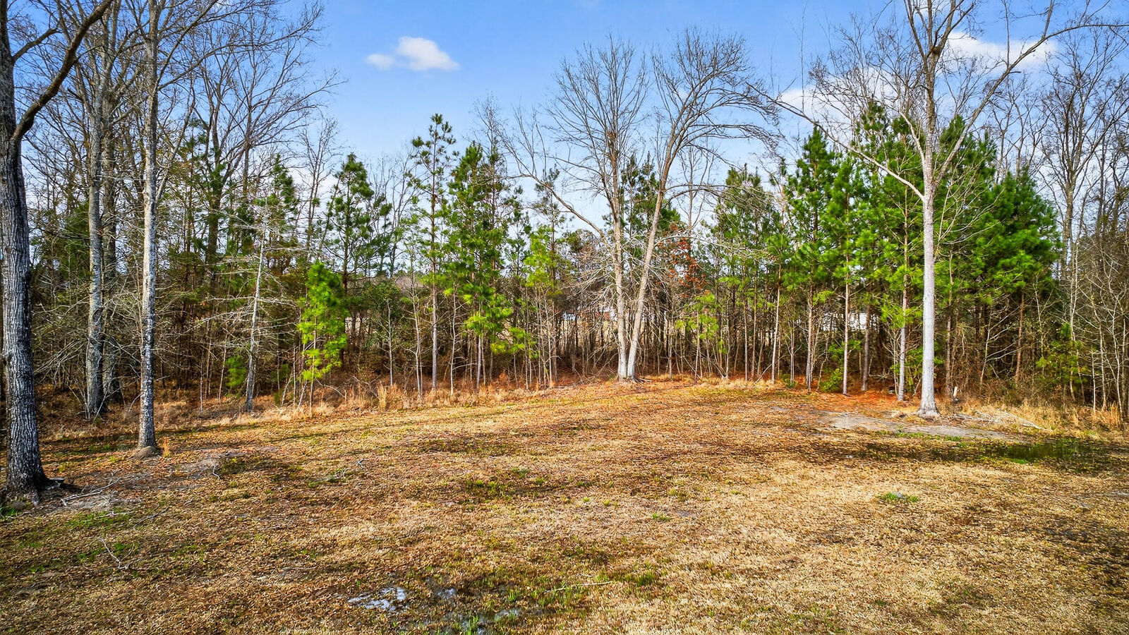 Property Photo:  122 Chapel Cross Road  SC 29163 
