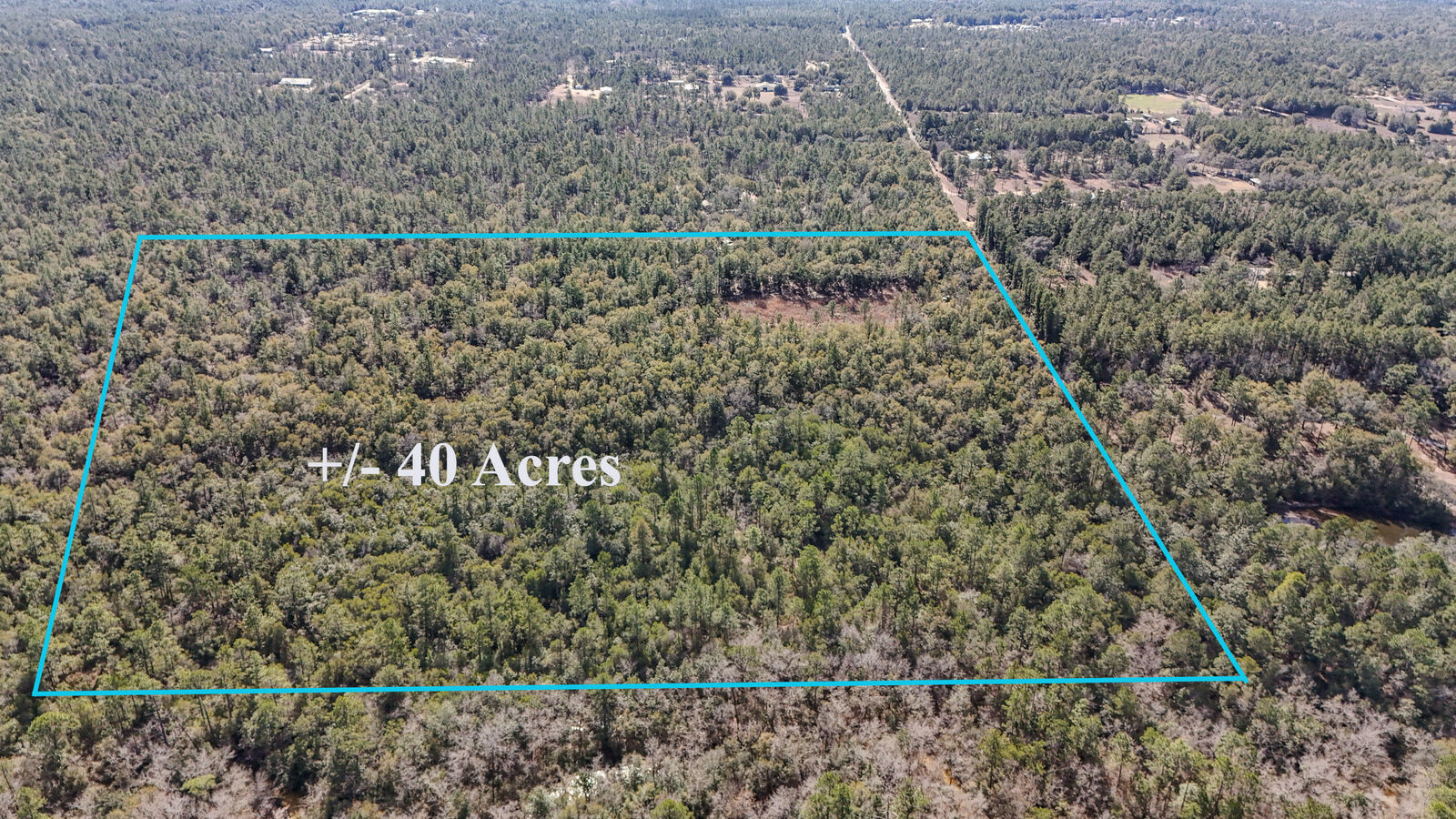 Property Photo:  40 Ac Holly Tree Lane  FL 32539 