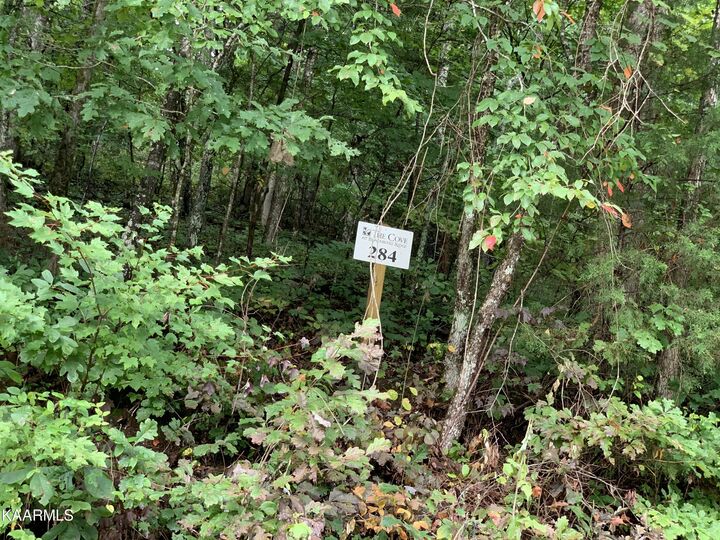 Property Photo: 4507 Huffine Rd TN 37774