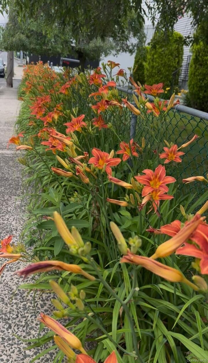 Property Photo:  7 White Plains Avenue  NY 10523 