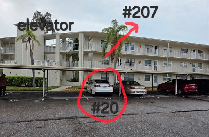 Property Photo:  960 Virginia Street 207  FL 34698 