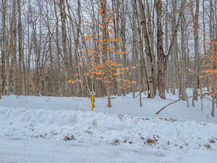 Property Photo:  12349 Wagon Wheel Trail  MI 49346 