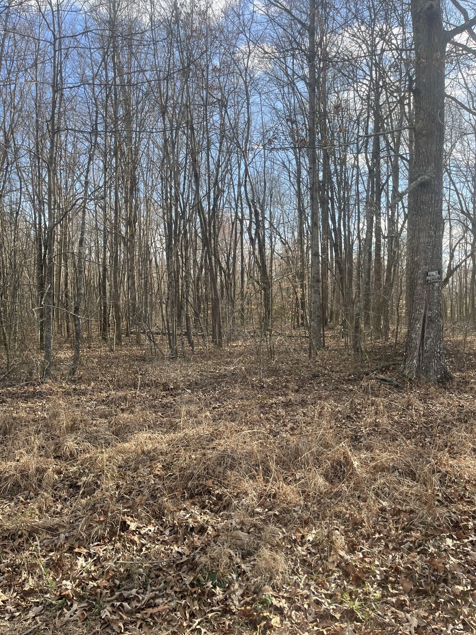 Property Photo:  0 Boynton Valley Rd  TN 37355 
