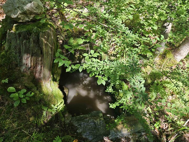 Property Photo:  Lot 3.2 Off Parker Road  NH 03585 