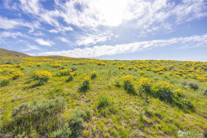 Property Photo:  1  Terrace View Short Plat  WA 98834 