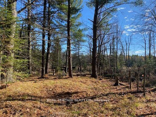 Property Photo:  17556 Highway 62 N/A  ON K0K 2K0 