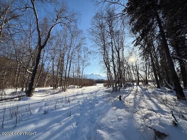 Property Photo:  15270 E Peacefull Lane  AK 99645 
