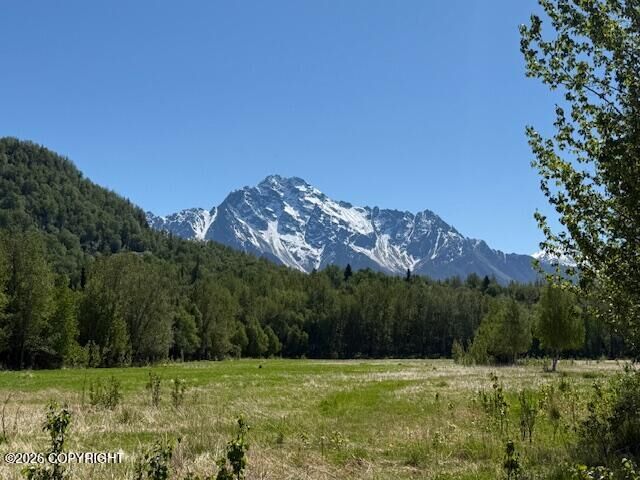 Property Photo:  15270 E Peacefull Lane  AK 99645 