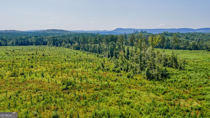 Property Photo: Lot 1 Back Valley Road GA 30730