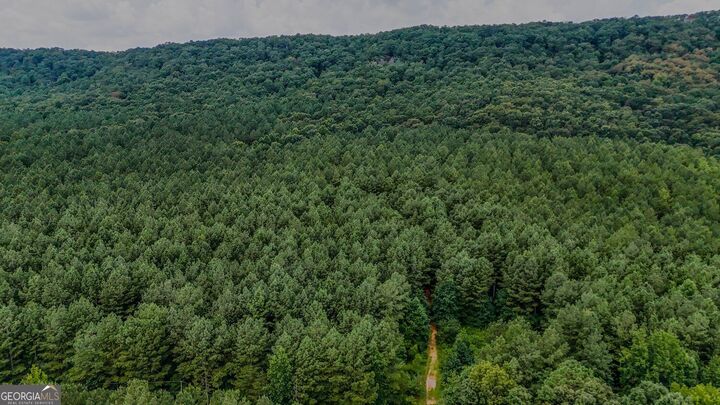 Property Photo:  0 Tract 5 Back Valley Road  GA 30730 