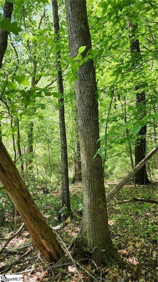 Property Photo:  1125 Cambrige Street  SC 29620 