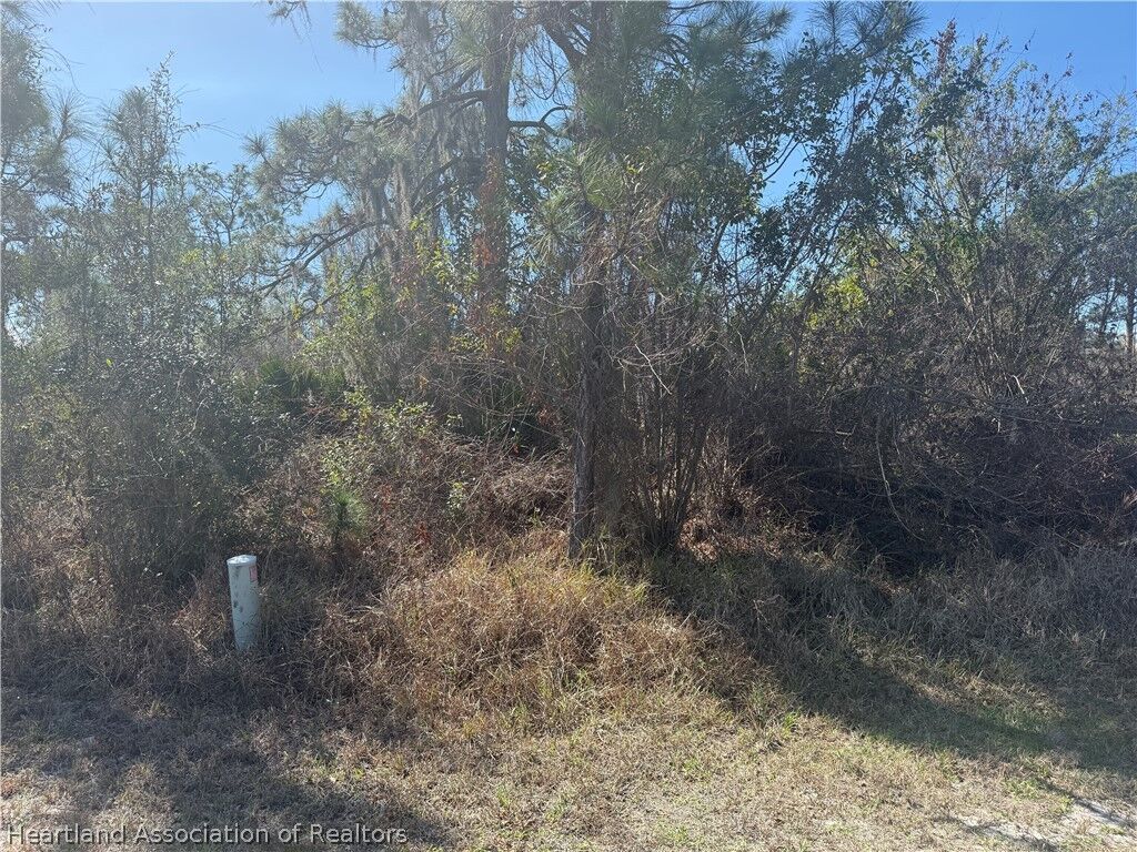 Property Photo:  842 Durmon Avenue  FL 33852 