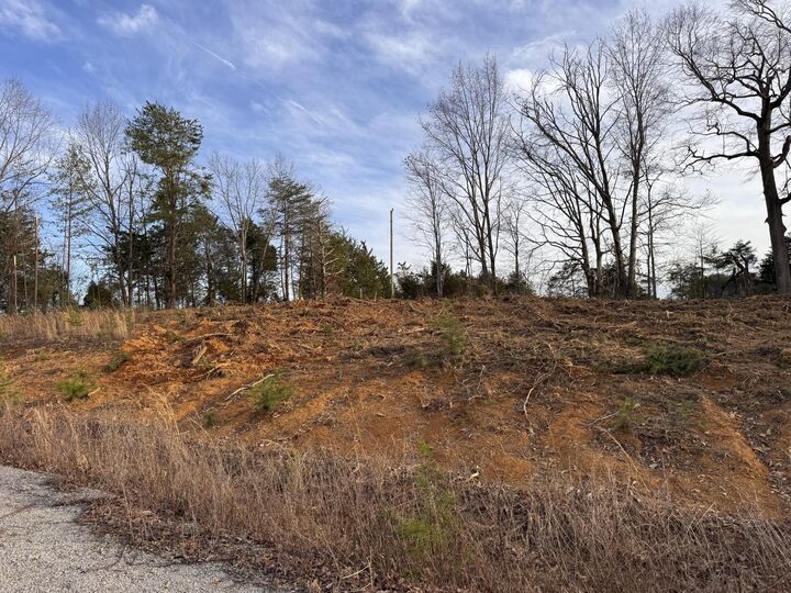 Property Photo:  100 Pine Hollow Rd  KY 42544 