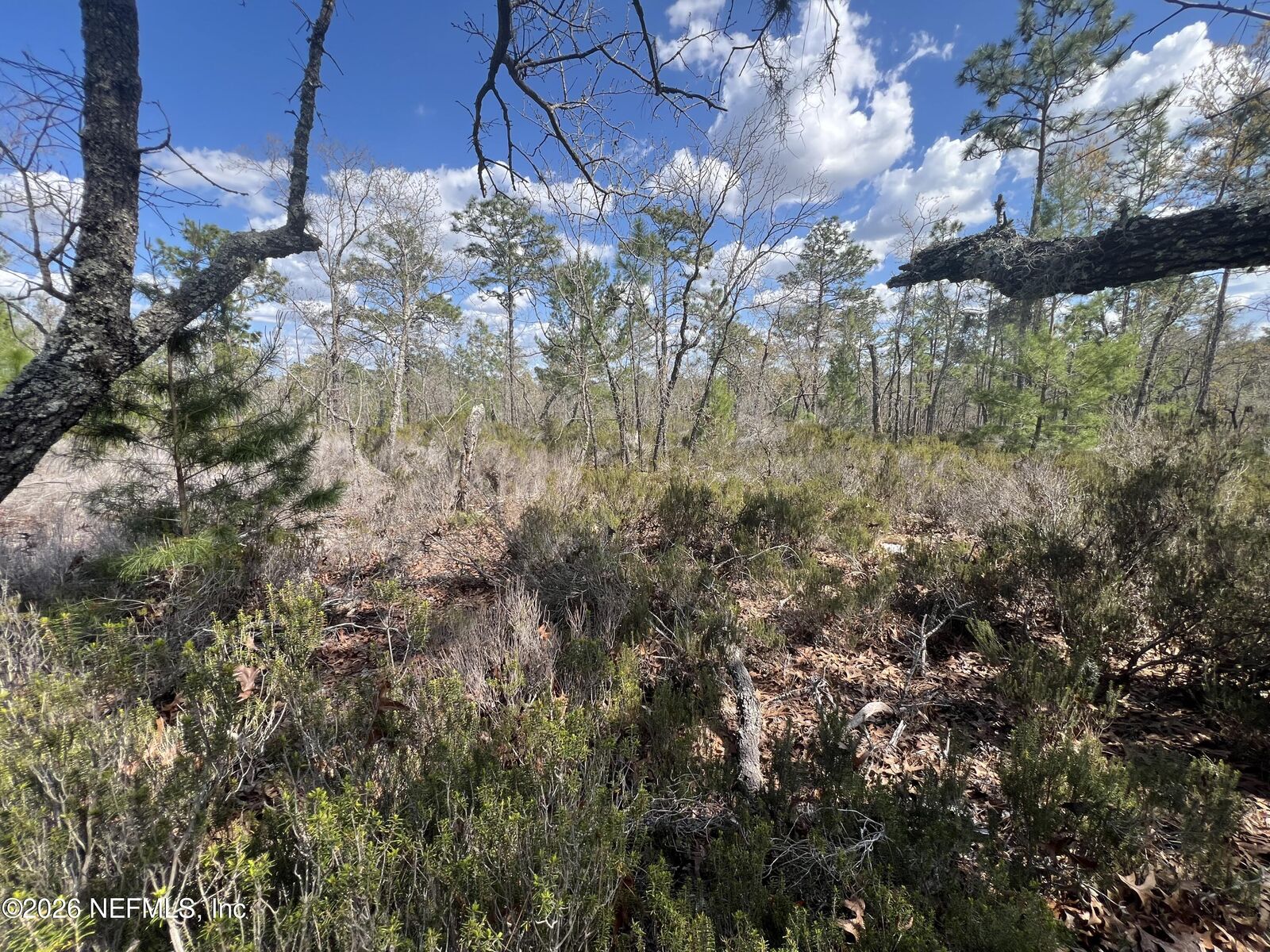 Property Photo:  131 Quail Way  FL 32640 