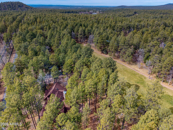Property Photo:  2912 Woodpecker Lane  AZ 85935 