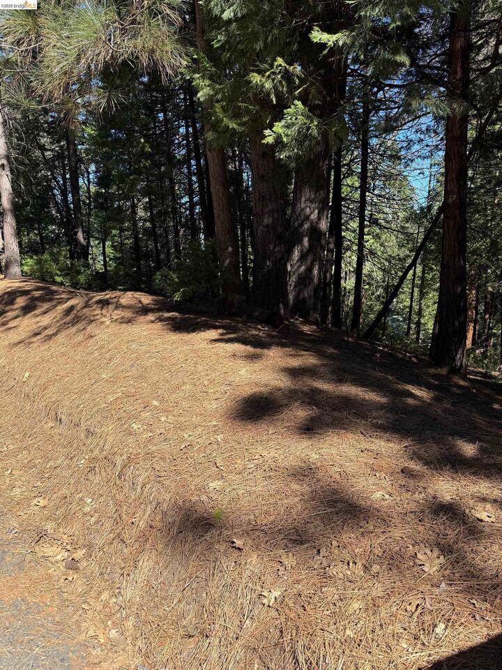 Property Photo:  000 Lot 498 Oxbow Lane N  CA 95370 
