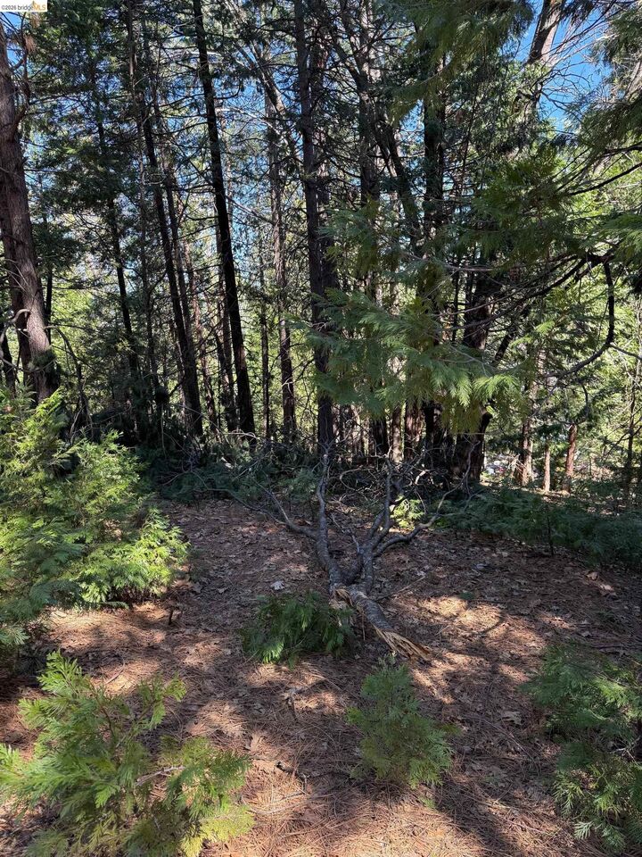 Property Photo: 000 Lot 498 Oxbow Lane N CA 95370