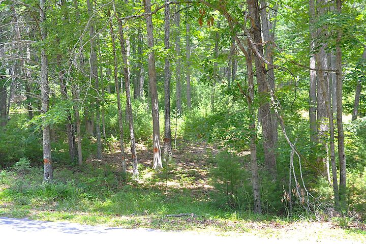 Property Photo:  Moncove Lake Rd  WV 24941 