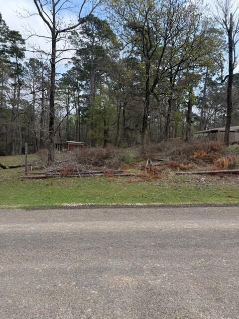 Property Photo:  Lot 213 Dogwood Drive  TX 75862 