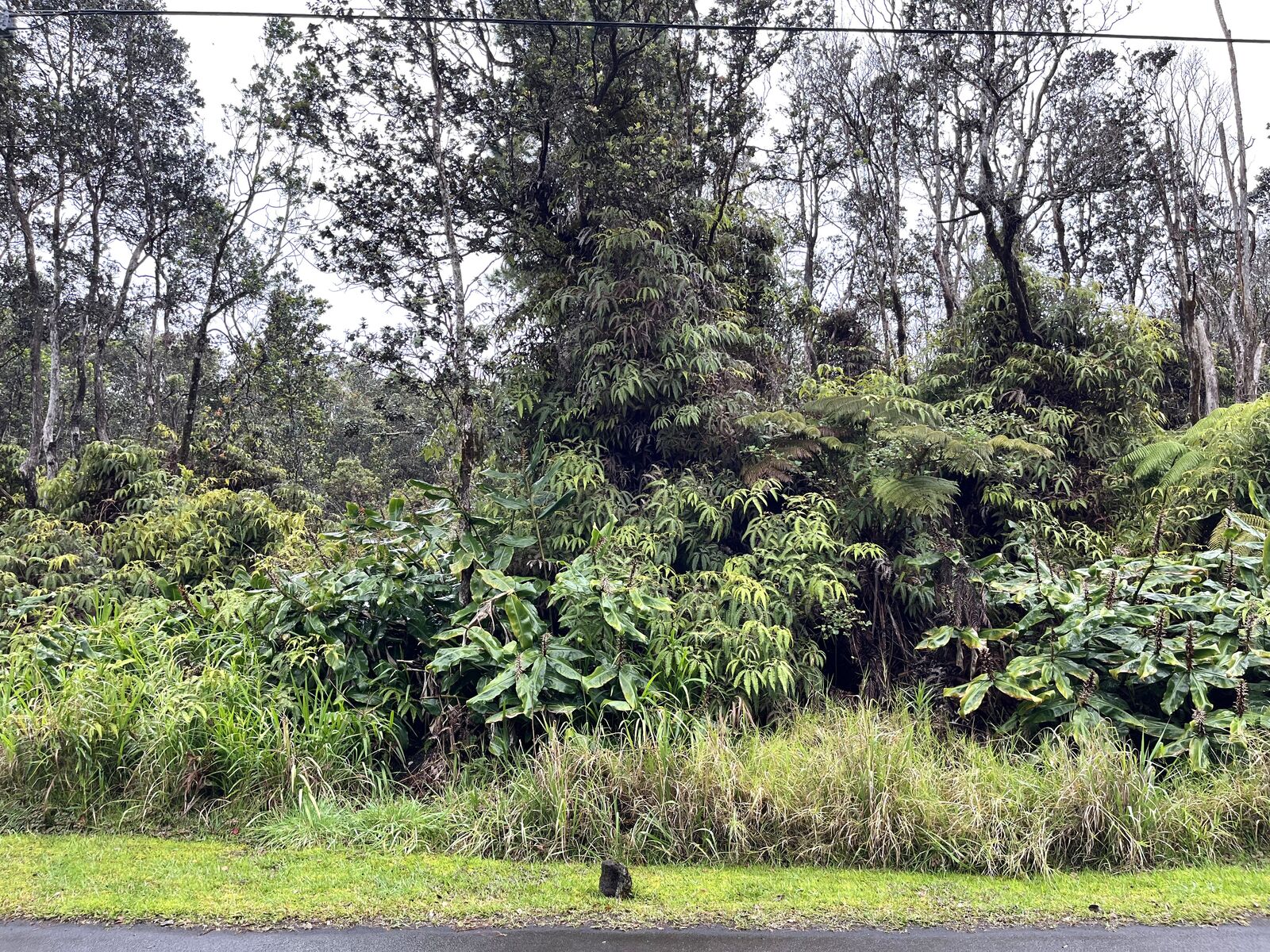 Property Photo: Nahelenani St HI 96785