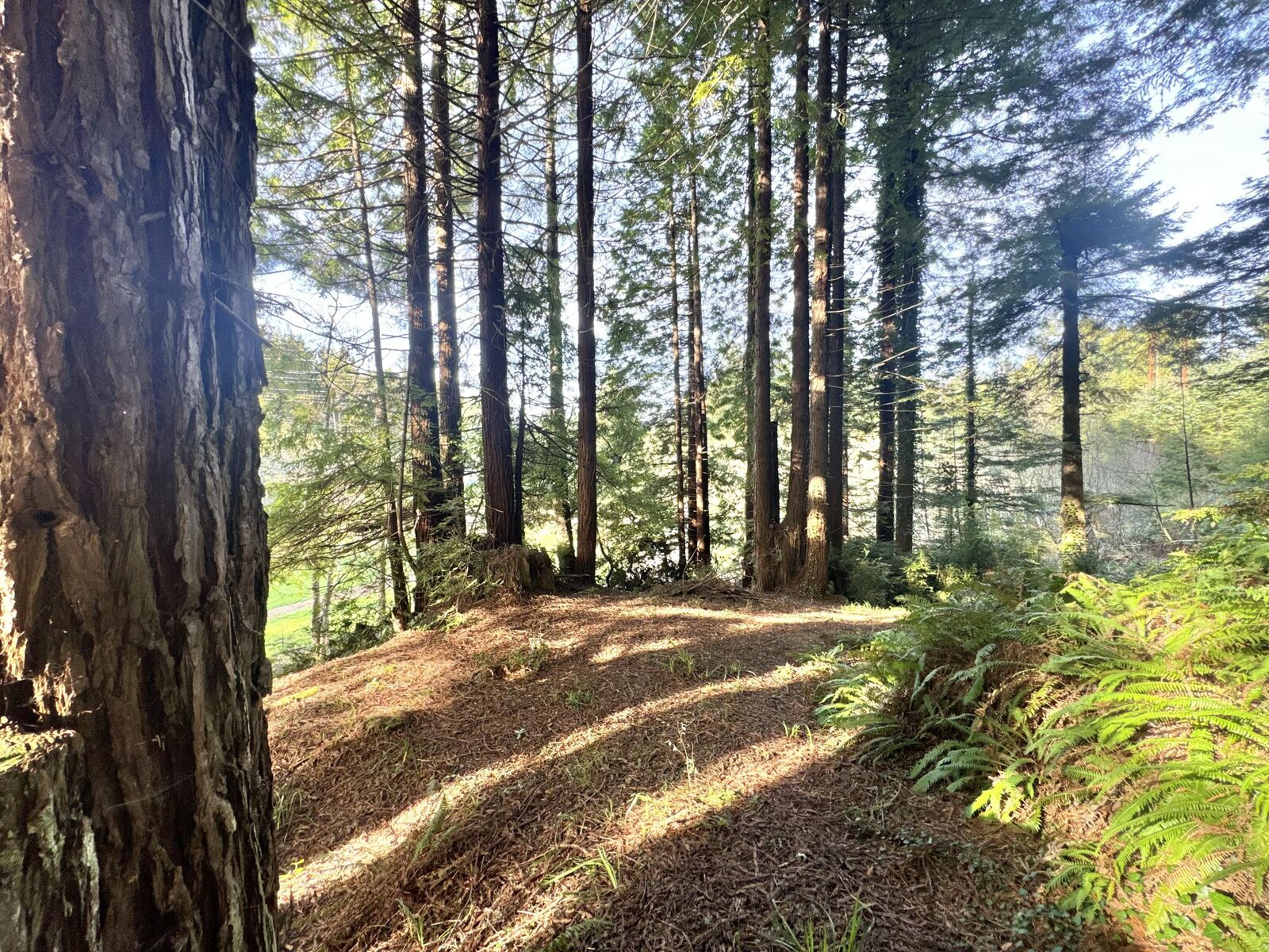 Property Photo:  0 Spears Road  CA 95503 