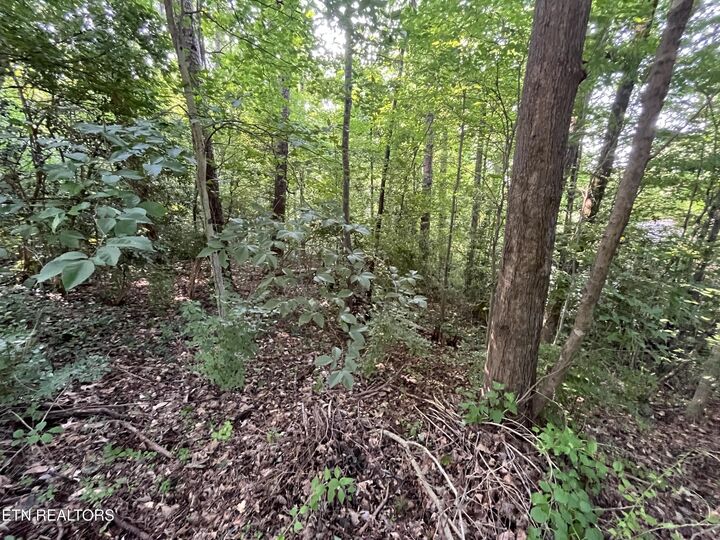 Property Photo: 2504 Craghead Lane TN 37920