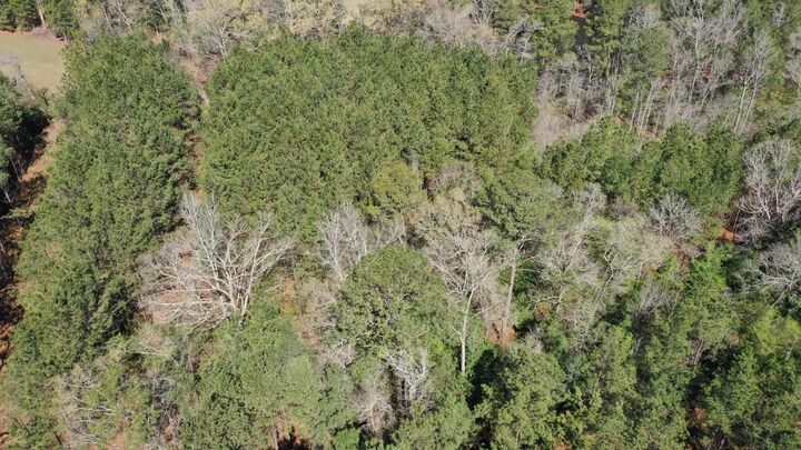 Property Photo:  0000 County Road 1926  TX 75563 