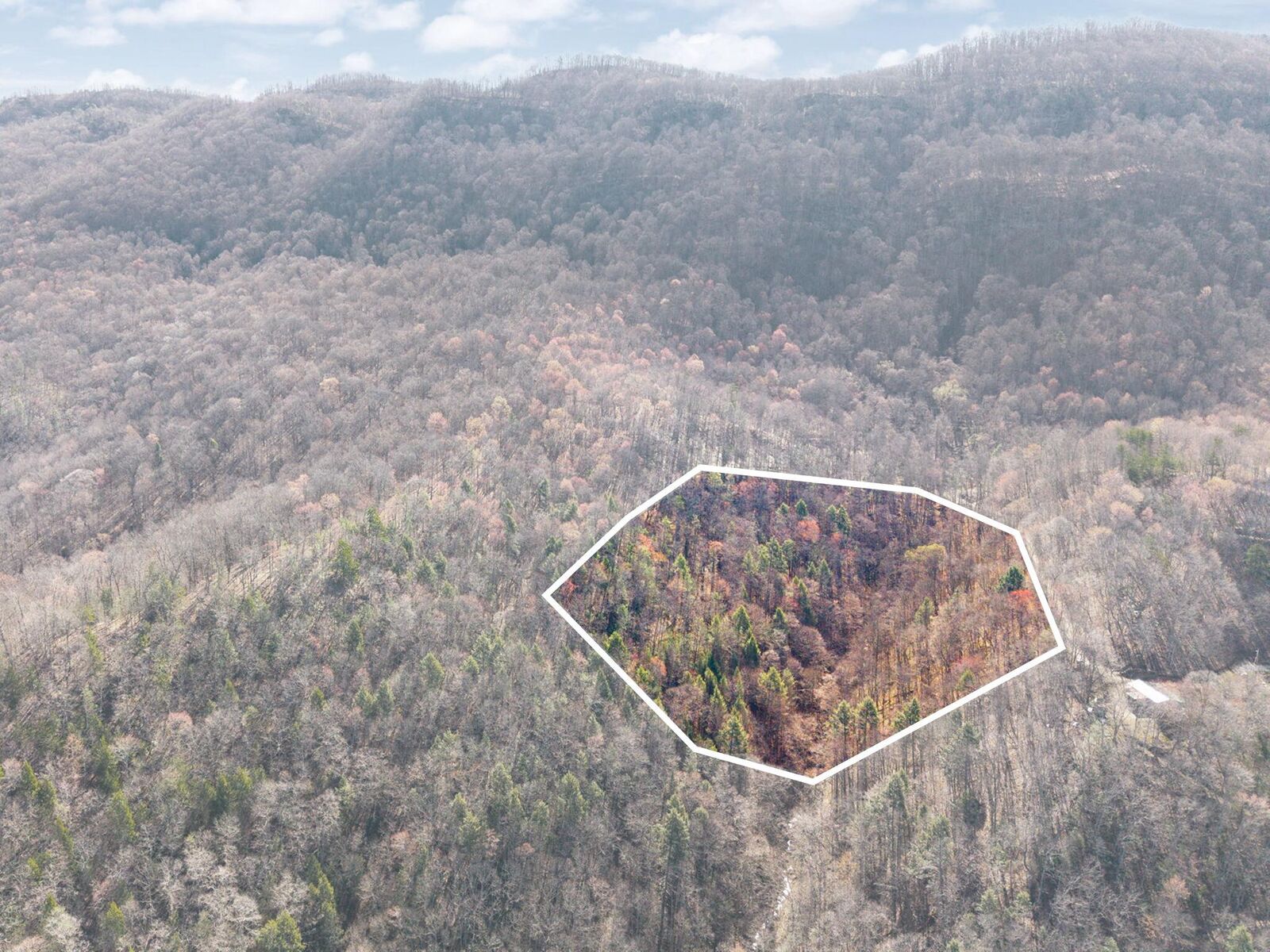 Property Photo:  482 Dinah Blair Hollow Road  KY 41858 