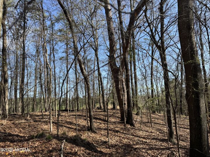 Property Photo:  1972 Wood Valley Road  GA 31211 